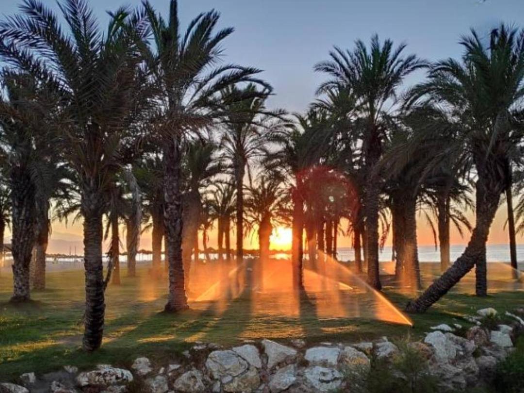 Appartement Estudio En Playamar à Torremolinos Extérieur photo